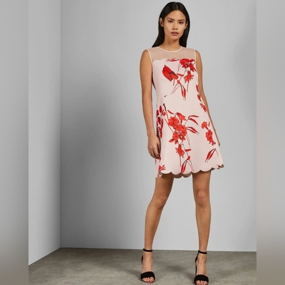 Ted Baker Jaazmin Fantasia Scallop Cherry Blossom Pink‎ Red Dress Small Size 4 - Picture 1 of 17